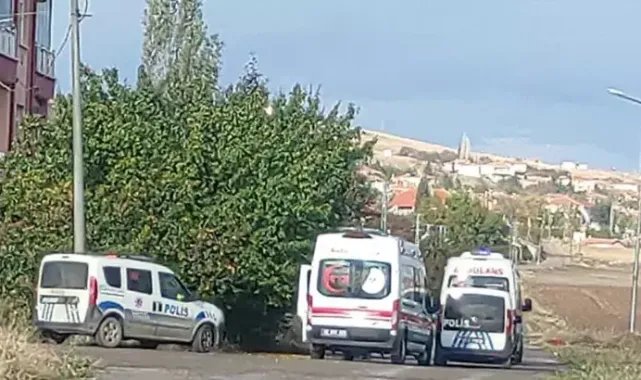 Gelin, kayınvalidesini bıçakla öldürdü