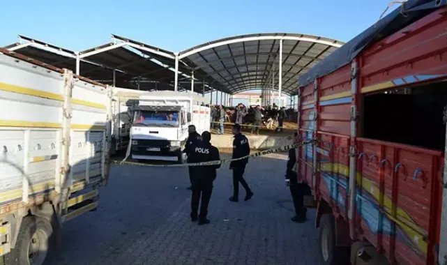 Hayvan pazarındaki kavgada 2 kardeş sırtından vuruldu