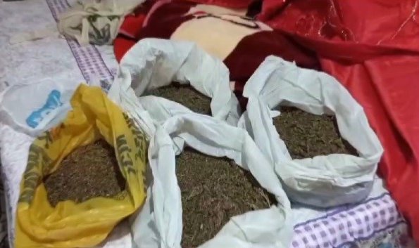 İzmir'de jandarmadan 9 adrese uyuşturucu baskını