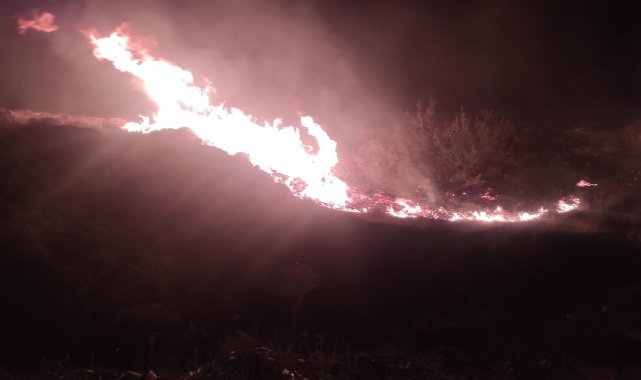İzmir'de makilik alanda yangın
