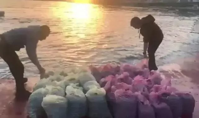 Kadıköy'de 1 ton kaçak midye avlayan kişiye 24 bin lira ceza kesildi