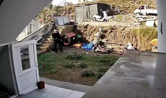 Kamyonetini durdurup kendisini takip eden köpeğe cisimle vurup kaçtı