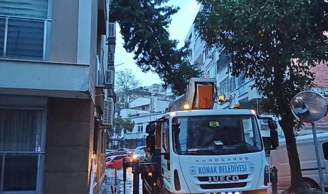 Konak Belediyesi ekipleri fırtınadan yıkılan ağaca müdahale etti