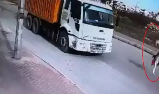 Köpekten kaçarken kamyonun çarptığı Mahra'nın ölümüne 3,9 milyon lira tazminat kararı