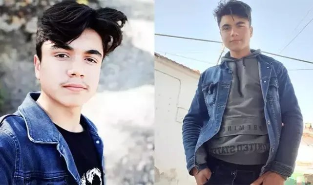 Kozalak toplamak için çıktığı ağaçta, elektrik akımına kapılıp öldü