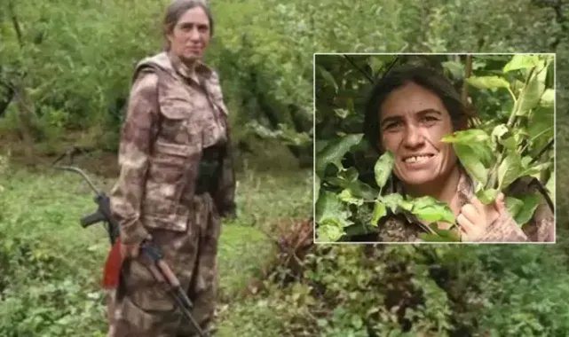 MİT'ten Irak'ta nokta operasyon: 'Tekoşin Cizre' etkisiz hale getirildi