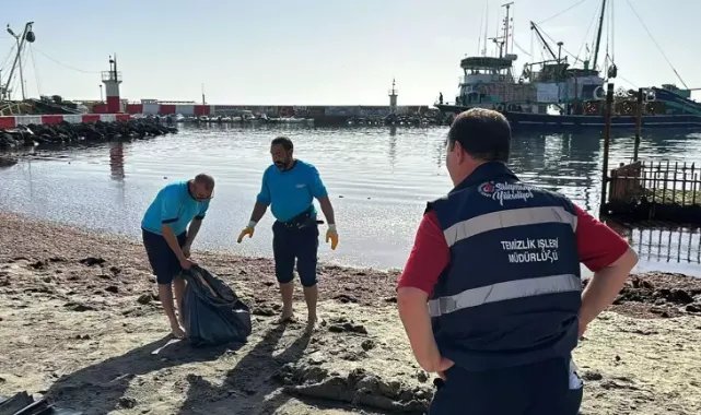 Tekirdağ'da sahil yosunla kaplandı