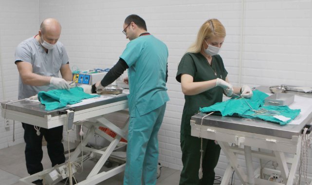 Bayraklı’da son 4,5 yılda 20 bin sokak hayvanına sağlık hizmeti