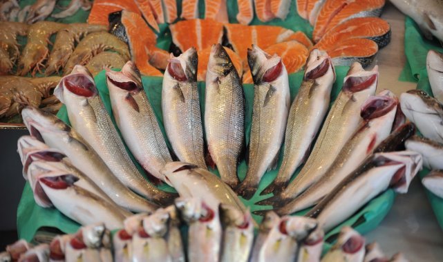 Egeli balıkçıların 11 aylık ihracatı 1 milyar doları aştı