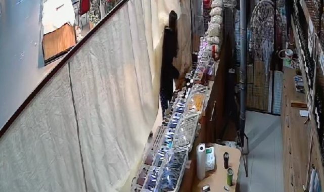 Elini kolunu sallayarak hırsızlık yaptı