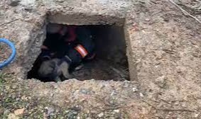 Kuyuya düşen yavru köpeği itfaiye kurtardı
