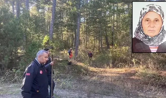 Mantar toplamak için gittiği ormanda kaybolan kadın, ölü bulundu