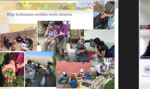 Prof. Dr. Öztürk “ Bitkisel tıbbi ürünlere ‘masum’ gözüyle bakılmamalı”