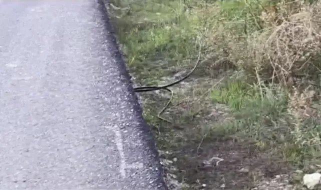 Telefon hattı kablosu boynuna dolanan motosiklet sürücüsü öldü, eşi yaralandı