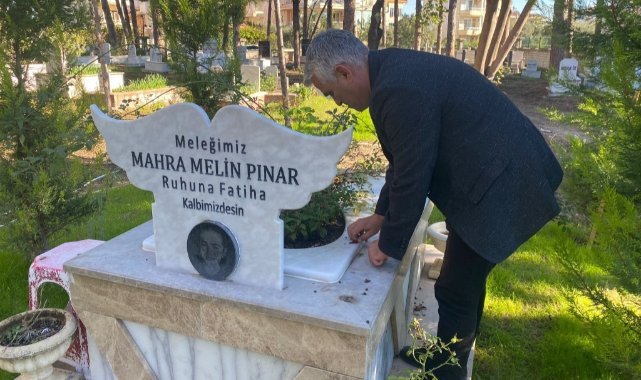 Türkiye’de sokak hayvanlarıyla ilgili acı tablo
