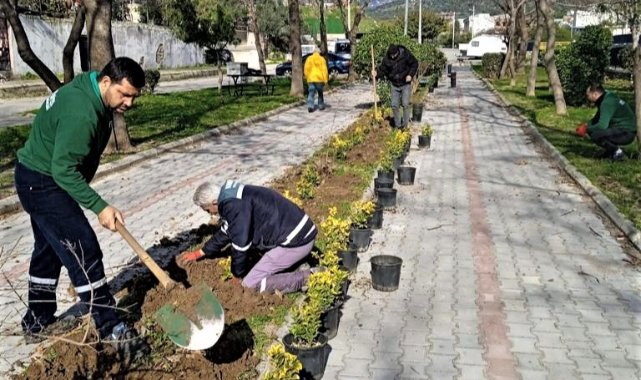 5 yılda 13 bin ağaç dikildi