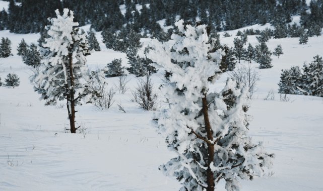 Ardahan’da dondurucu soğukları: Göle -29,8 derece
