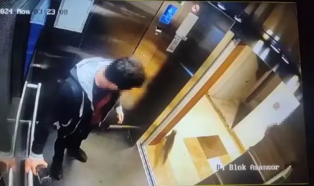 Başakşehir'de kediyi asansörde sıkıştırıp ezdi