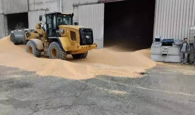 Depoda tonlarca mısırın altında kalan işçi öldü