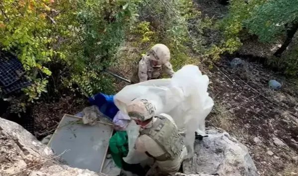 Diyarbakır'da 1 yılda 102 milyon kök kenevir bitkisi ile 47 ton esrar ele geçirildi
