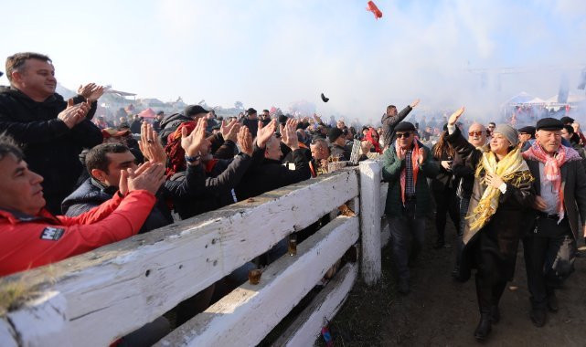 Geleneksel Deve Güreşleri Festivali 21 Ocak'ta Efes Selçuk'ta başlıyor