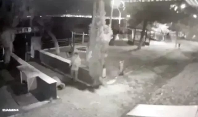 İranlı eşini öldüren sanığın cezai ehliyetinin tespiti için rapor istendi