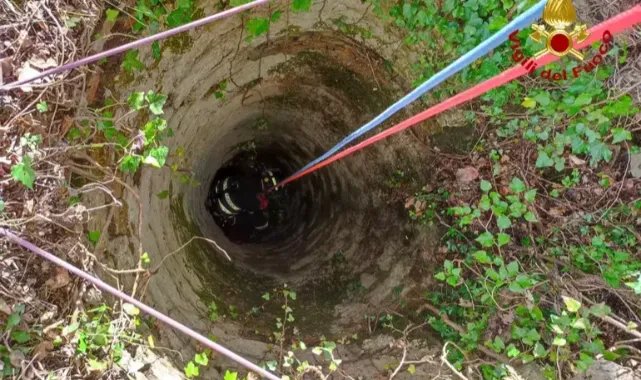 İtalya’da kuyuya düşen köpeği itfaiye kurtardı
