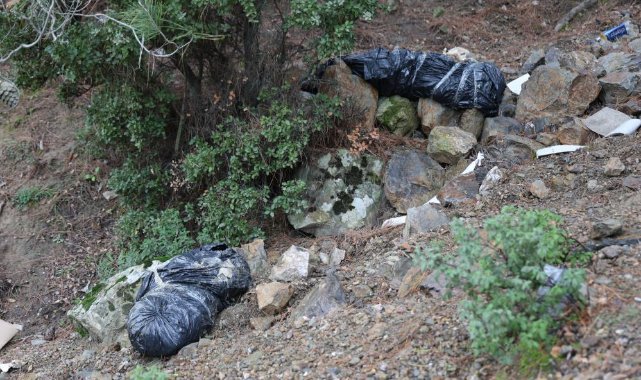 İzmir’de çöp poşetleri içerisinde köpek ölüleri bulundu
