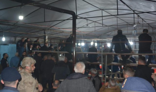 İzmir’de horoz dövüşü yaptıranlara jandarmadan operasyon