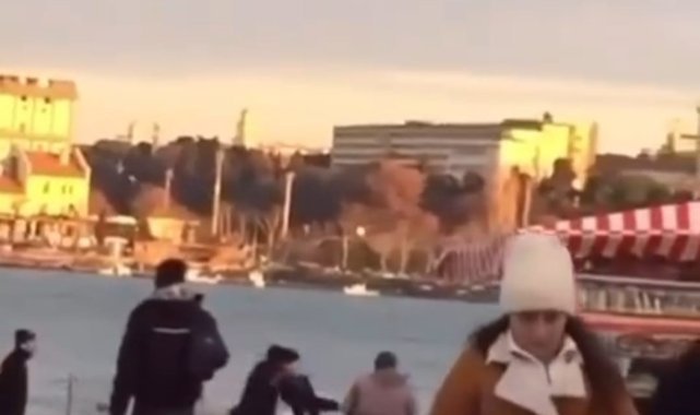 Kadıköy’de yaşlı kadına köpekler saldırdı