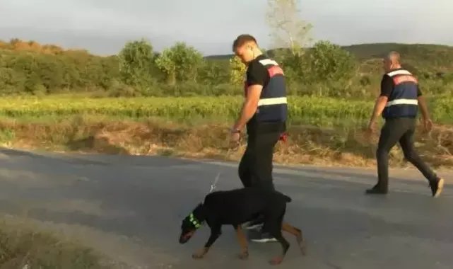 Korhan Berzeg'den 200 gündür haber yok; umudu tek tükenmeyen köpeği Tina