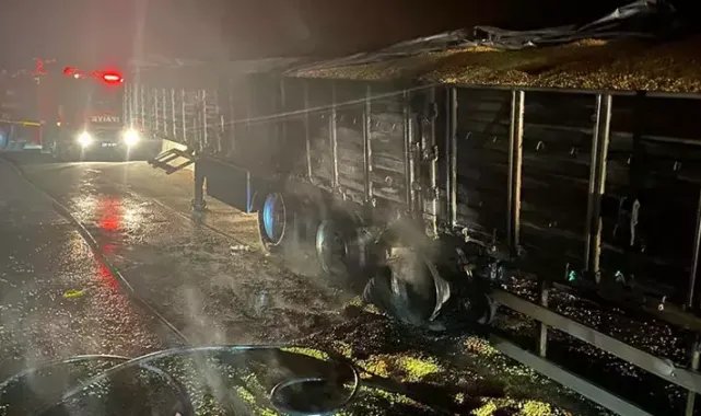 Mısır yüklü TIR’ın dorsesinde çıkan yangın söndürüldü