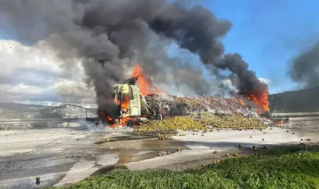 Narenciye yüklü TIR, otoyolda alev alev yandı