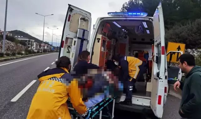 Otomobilini yol kenarına park eden sürücü ile arkadaşına kamyonet çarptı
