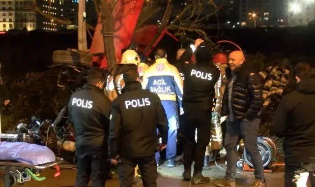 Pendik'te ağaca çarpan otomobil takla attı