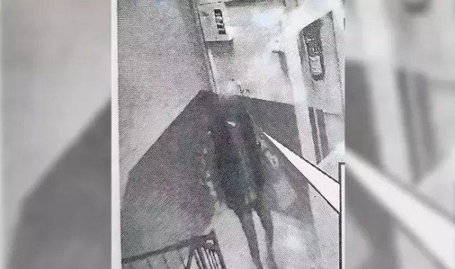 Sopayla kediyi öldüren şüpheliye ev hapsi