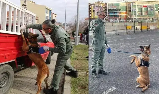 Tekirdağ'ın narkotik köpeği Larissa öldü