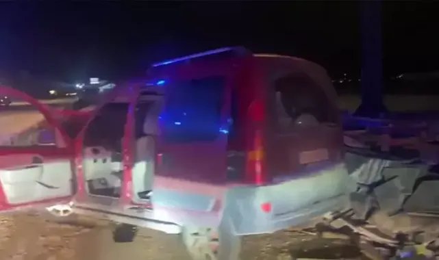 Yola çıkan köpek, kazaya neden oldu