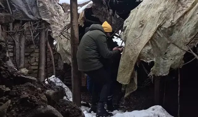 Ağıla hayvanları için kurduğu sobadan çıkan yangında 15 küçükbaş öldü