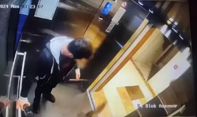 Başakşehir'de kediyi tekmeleyerek öldüren sanığın cezasının ertelenmesine savcılık itiraz etti