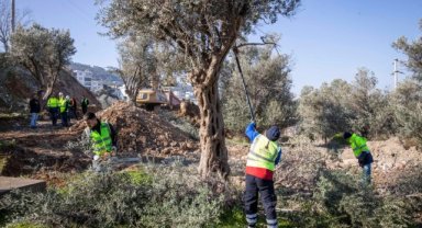 Buca Onat Tüneli’nin güzergâhındaki ağaçlar koruma altında