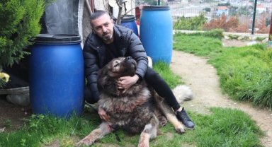 Çalamadığı köpeği pompalı tüfekle vurdu