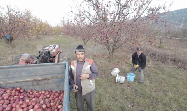 Dron korkusuyla traktörün altına saklanan baba: "İlaçla virüs yayacak sandım, canlı yayından yardım istedim"