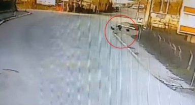 Kandıra’da okula giden çocuğa 2 köpek saldırdı