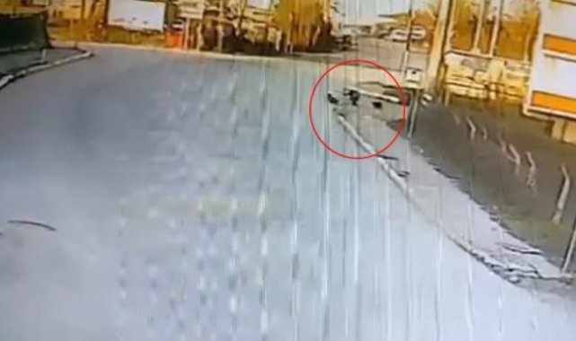 Kandıra’da okula giden çocuğa 2 köpek saldırdı