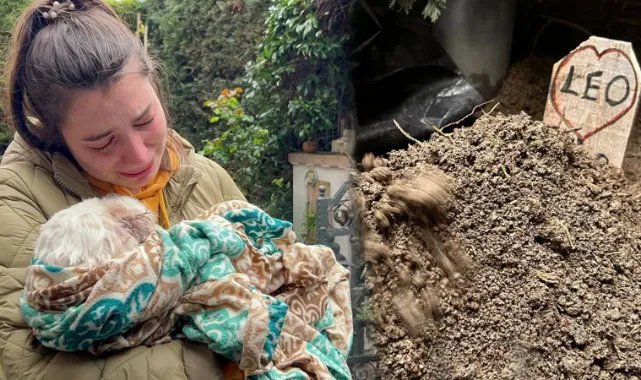 Banu Parlak'ın köpeğinin öldürdüğü 'Leo' toprağa verildi