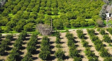 Belediyeden çiftçiye 1000 TL’lik sulama desteği