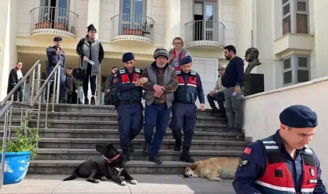 Bodrum'da 4 köpek ile 3 kediyi zehirleyerek öldüren şüpheliyi özel ekip yakaladı