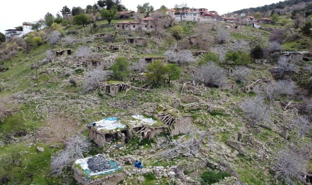 Bu mahallede sadece 17 seçmen sandık başına gidecek