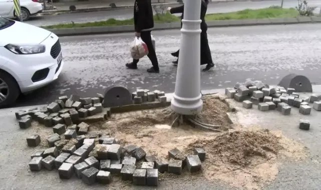 Büyükçekmece'de elektrik kaçağını test etmek için köpeği kullandı